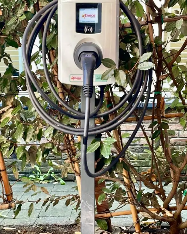 Laadpaal op een paal tussen de beplanting
